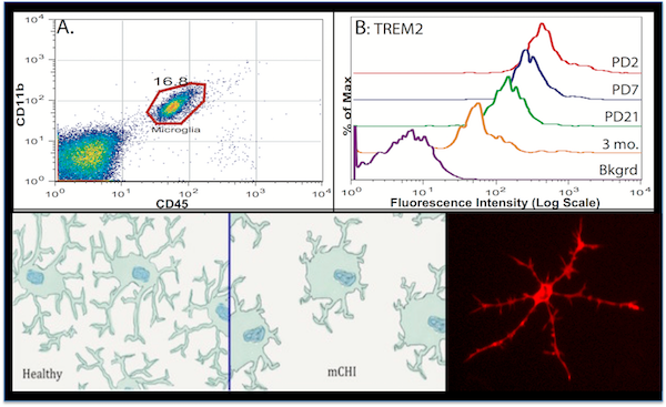 Recent Publications